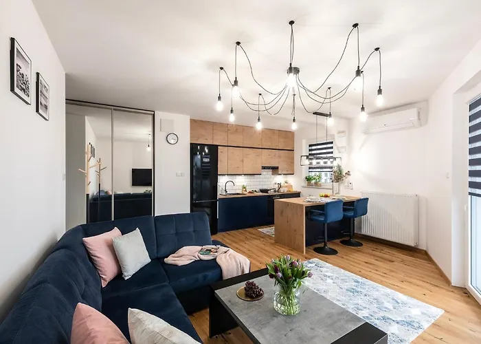 Shortstaypoland Pluznicka Apartment